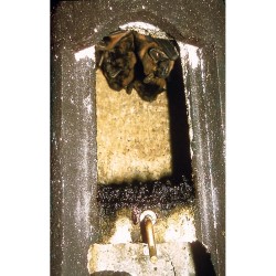 Gîte à chauves-souris spécial - Béton de bois - Schwegler (2FN - 136/8) Gîte à chauves-souris spécial - Béton de bois - Schwegler (2FN - 136/8)