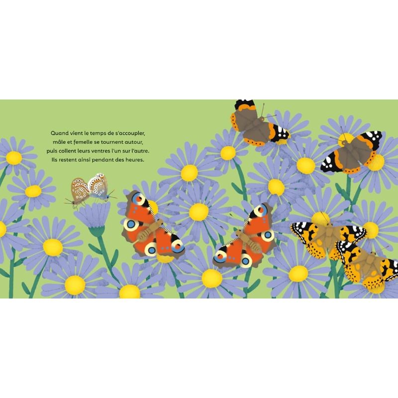 Les P'tits Papillons