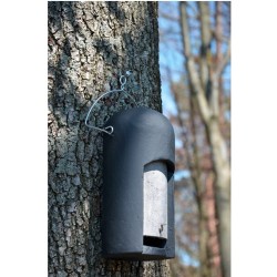 Gîte à chauves-souris spécial - Béton de bois - Schwegler (2FN - 136/8)