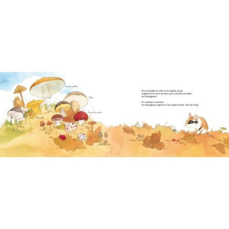 Chapeau les champignons ! Mycologie