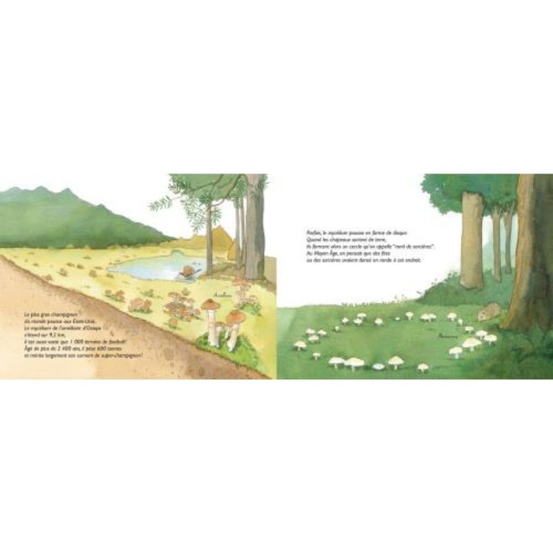 Chapeau les champignons ! Mycologie