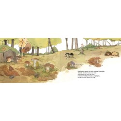 Chapeau les champignons ! Mycologie