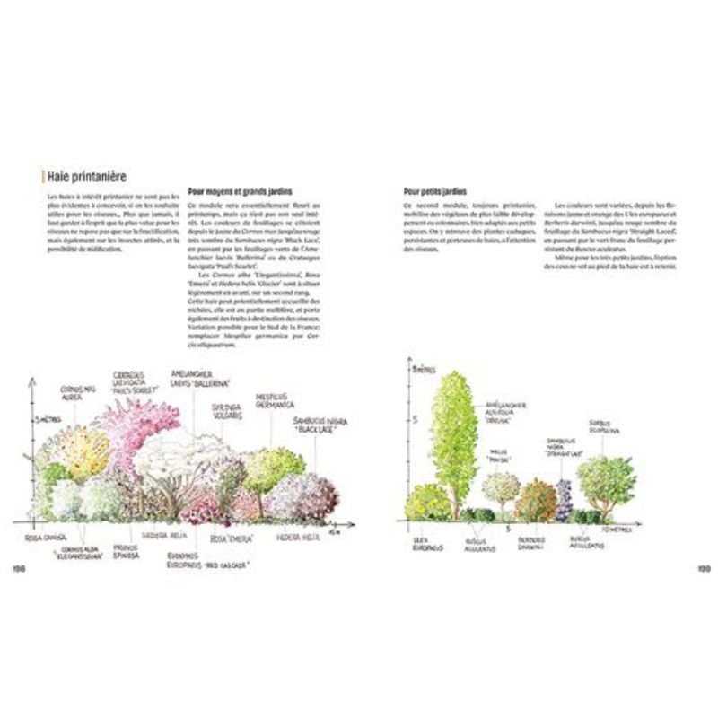 Créer un beau jardin-refuge pour les oiseaux Créer un beau jardin-refuge pour les oiseaux