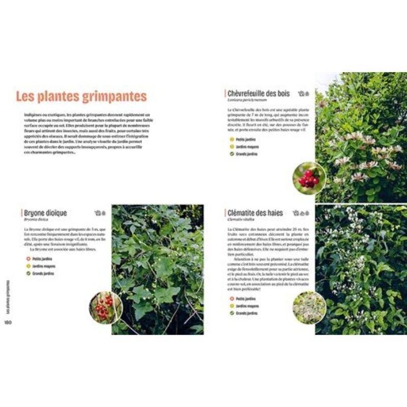 Créer un beau jardin-refuge pour les oiseaux Créer un beau jardin-refuge pour les oiseaux