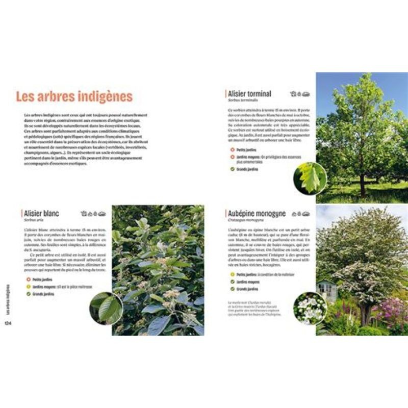 Créer un beau jardin-refuge pour les oiseaux Créer un beau jardin-refuge pour les oiseaux