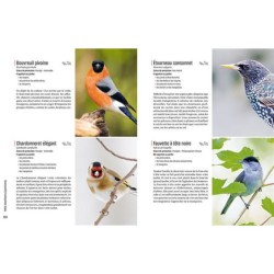 Créer un beau jardin-refuge pour les oiseaux Créer un beau jardin-refuge pour les oiseaux