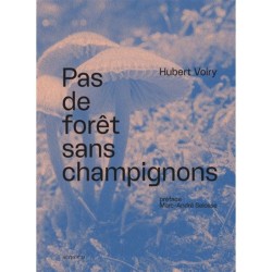 Pas de forêt sans champignons Pas de forêt sans champignons