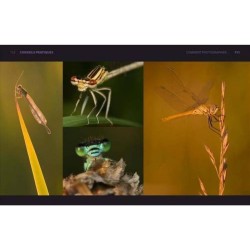 La macrophotographie numérique - Photographier l'univers du minuscule La macrophotographie numérique - Photographier l'univers du minuscule