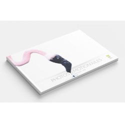 Catalogue - Portfolio Photos Emotion’ailes Expos Aves - 2024