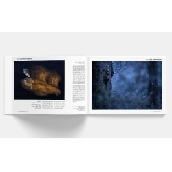 Catalogue - Portfolio Photos Emotion’ailes Expos Aves - 2024