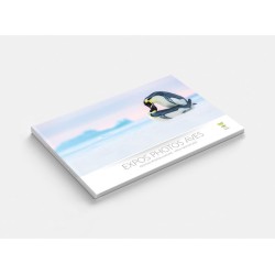 Catalogue - Portfolio Photos Emotion’ailes Expos Aves 2023