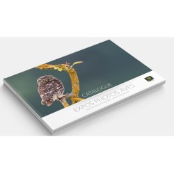 Catalogue - Portfolio Photos Emotion’ailes Expos Aves 2020