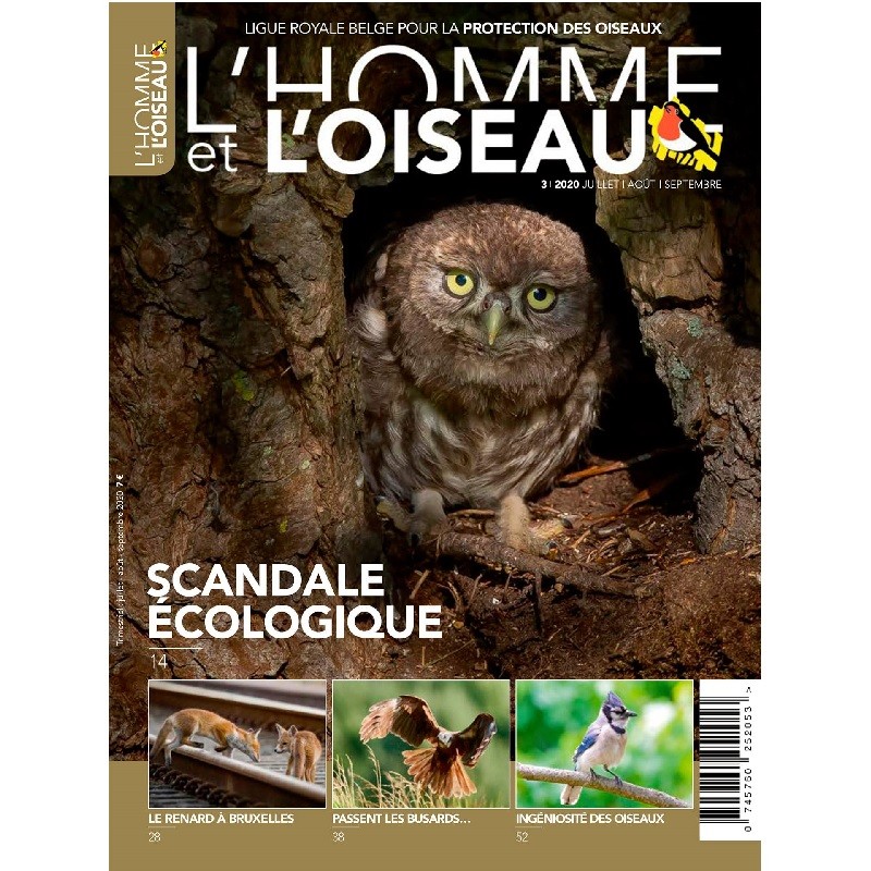 Année complète 2020 - L'Homme et l'Oiseau