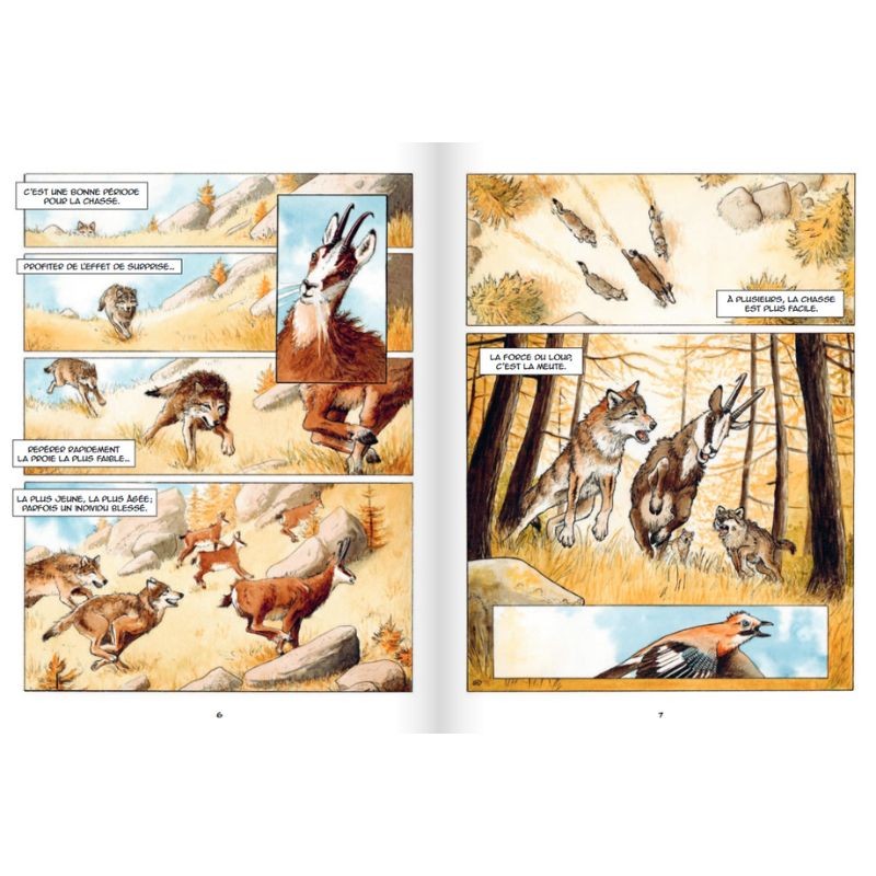 La Meute (BD) La Meute (BD)