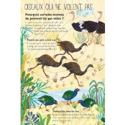 Nos incroyables oiseaux du monde Nos incroyables oiseaux du monde