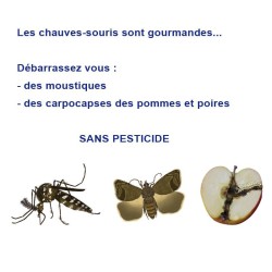 Gîte à chauves-souris en Pin Douglas - Nature Market Gîte à chauves-souris en Pin Douglas - Nature Market
