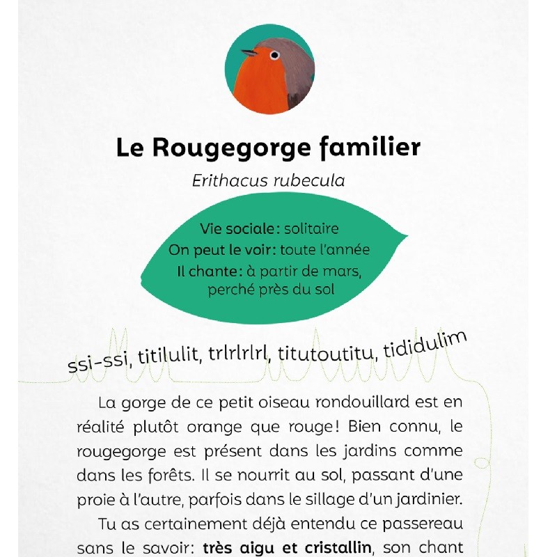 Écoute les oiseaux - avec l'application Birdie memory Écoute les oiseaux - avec l'application Birdie memory