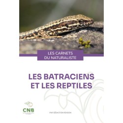Les batraciens et les reptiles - Les carnets du naturaliste