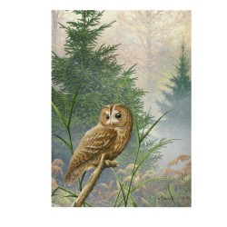 5 cartes de correspondance - Série 8 (Buzin) 5 cartes de correspondance - Série 8 (Buzin)