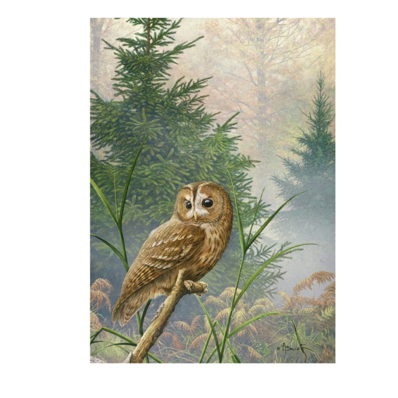 5 cartes de correspondance - Série 8 (Buzin) 5 cartes de correspondance - Série 8 (Buzin)