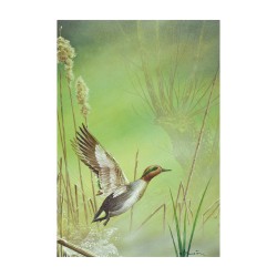 5 cartes de correspondance - Série 8 (Buzin) 5 cartes de correspondance - Série 8 (Buzin)