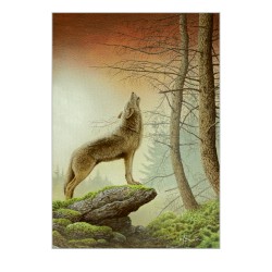 5 cartes de correspondance - Série 8 (Buzin) 5 cartes de correspondance - Série 8 (Buzin)