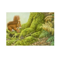 5 cartes de correspondance - Série 8 (Buzin) 5 cartes de correspondance - Série 8 (Buzin)