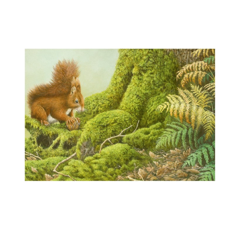 5 cartes de correspondance - Série 8 (Buzin) 5 cartes de correspondance - Série 8 (Buzin)