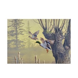 5 cartes de correspondance - Série 8 (Buzin) 5 cartes de correspondance - Série 8 (Buzin)