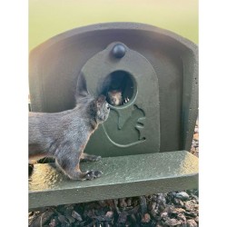 Abri d'élevage écureuils - Béton de bois - Schwegler (178/8)