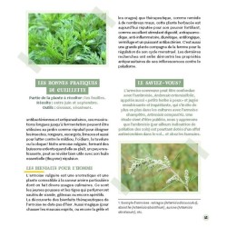 Accueillir les mauvaises herbes au jardin Accueillir les mauvaises herbes au jardin