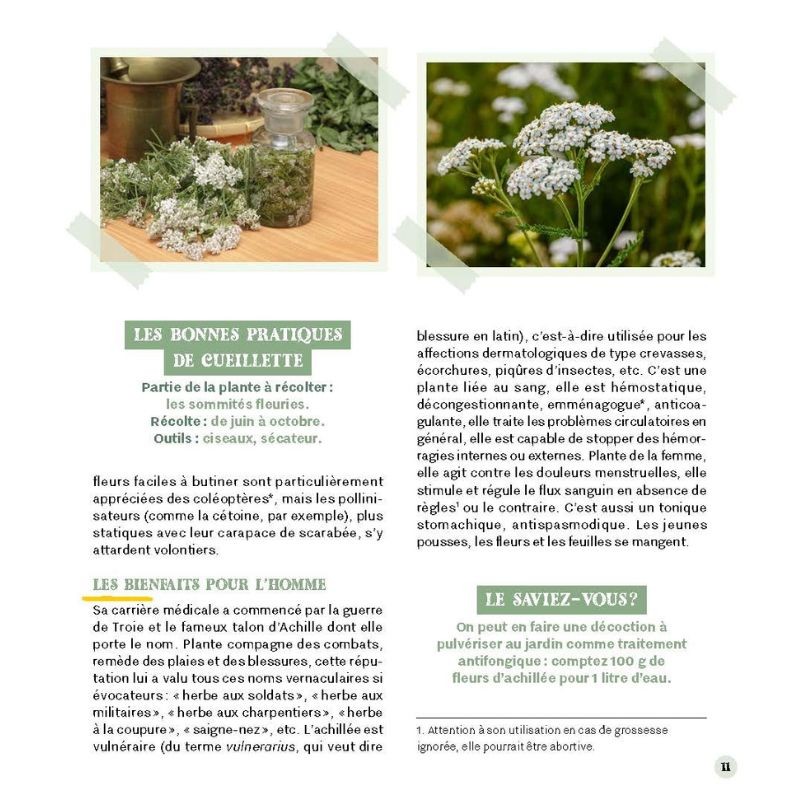 Accueillir les mauvaises herbes au jardin Accueillir les mauvaises herbes au jardin