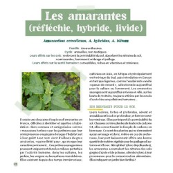 Accueillir les mauvaises herbes au jardin Accueillir les mauvaises herbes au jardin