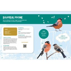 Je découvre les oiseaux grandeur nature Je découvre les oiseaux grandeur nature