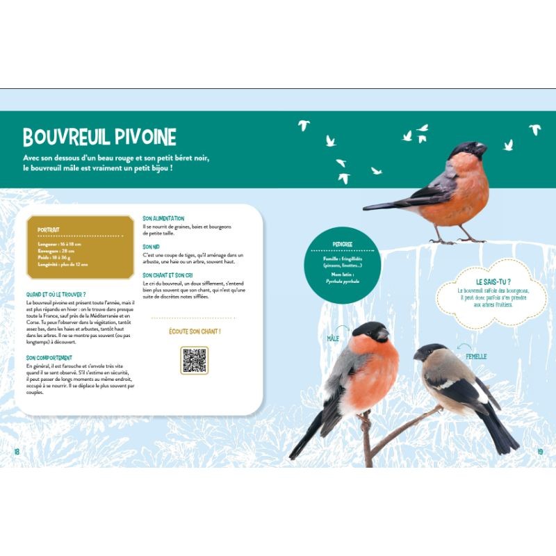 Je découvre les oiseaux grandeur nature Je découvre les oiseaux grandeur nature