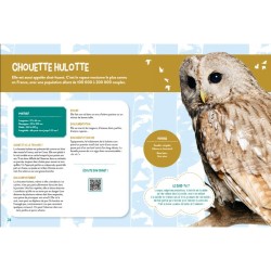 Je découvre les oiseaux grandeur nature Je découvre les oiseaux grandeur nature