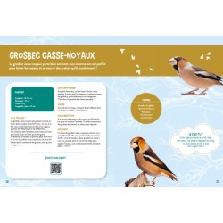 Je découvre les oiseaux grandeur nature Je découvre les oiseaux grandeur nature