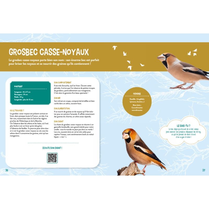 Je découvre les oiseaux grandeur nature Je découvre les oiseaux grandeur nature