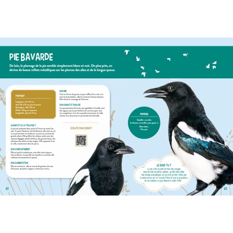 Je découvre les oiseaux grandeur nature Je découvre les oiseaux grandeur nature