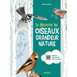 Je découvre les oiseaux grandeur nature