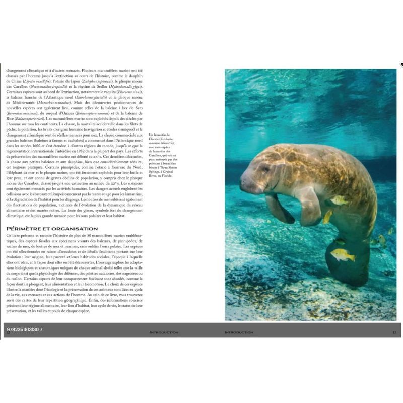 Les mammifères marins Vies présentes et passées des espèces emblématiques de nos océans Les mammifères marins Vies présentes et passées des espèces emblématiques de nos océans