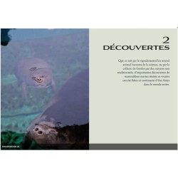 Les mammifères marins Vies présentes et passées des espèces emblématiques de nos océans Les mammifères marins Vies présentes et passées des espèces emblématiques de nos océans