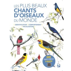Les plus beaux chants d'oiseaux du monde - Identification, comportement, vocalisation