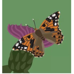 Jeu de société - Bugs Buddy