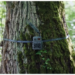 ZEISS Secacam - Sangle de fixation d'arbre - Lot de 2