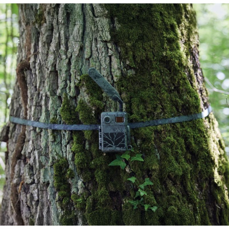 ZEISS Secacam - Sangle de fixation d'arbre - Lot de 2