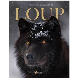 Loup - Portraits sauvages