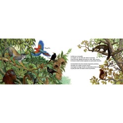Ces arbres qui font nos forêts - Les écosystèmes forestiers Ces arbres qui font nos forêts - Les écosystèmes forestiers