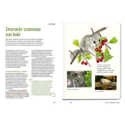 Le doryphore n'aime que les patates - 60 chroniques de végétaux, d'insectes et autres petites bestioles du jardin Le doryphore n'aime que les patates - 60 chroniques de végétaux, d'insectes et autres petites bestioles du jardin