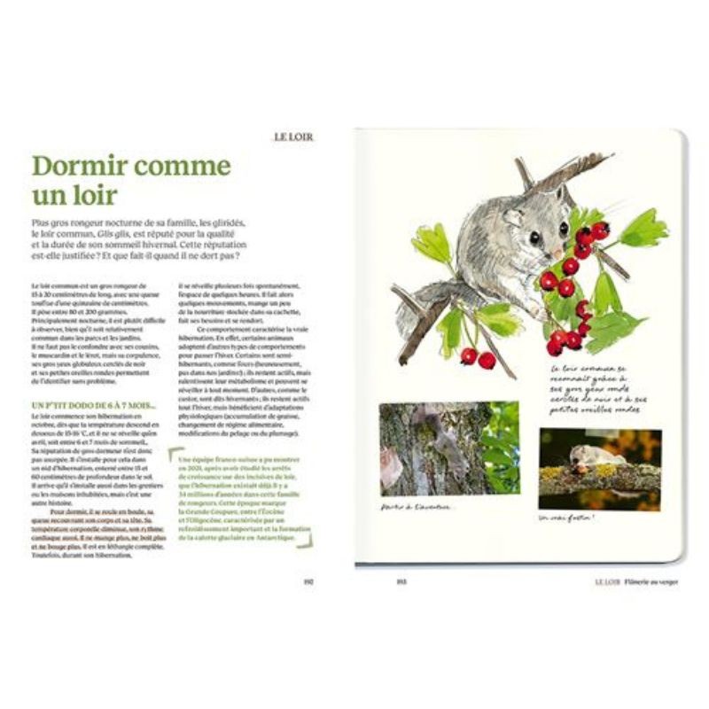 Le doryphore n'aime que les patates - 60 chroniques de végétaux, d'insectes et autres petites bestioles du jardin Le doryphore n'aime que les patates - 60 chroniques de végétaux, d'insectes et autres petites bestioles du jardin